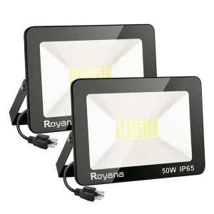 50W Advantage Led Floodlight 2 Pack