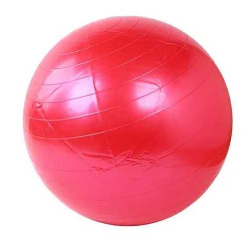 Home Exercise Fitness Yoga Ball