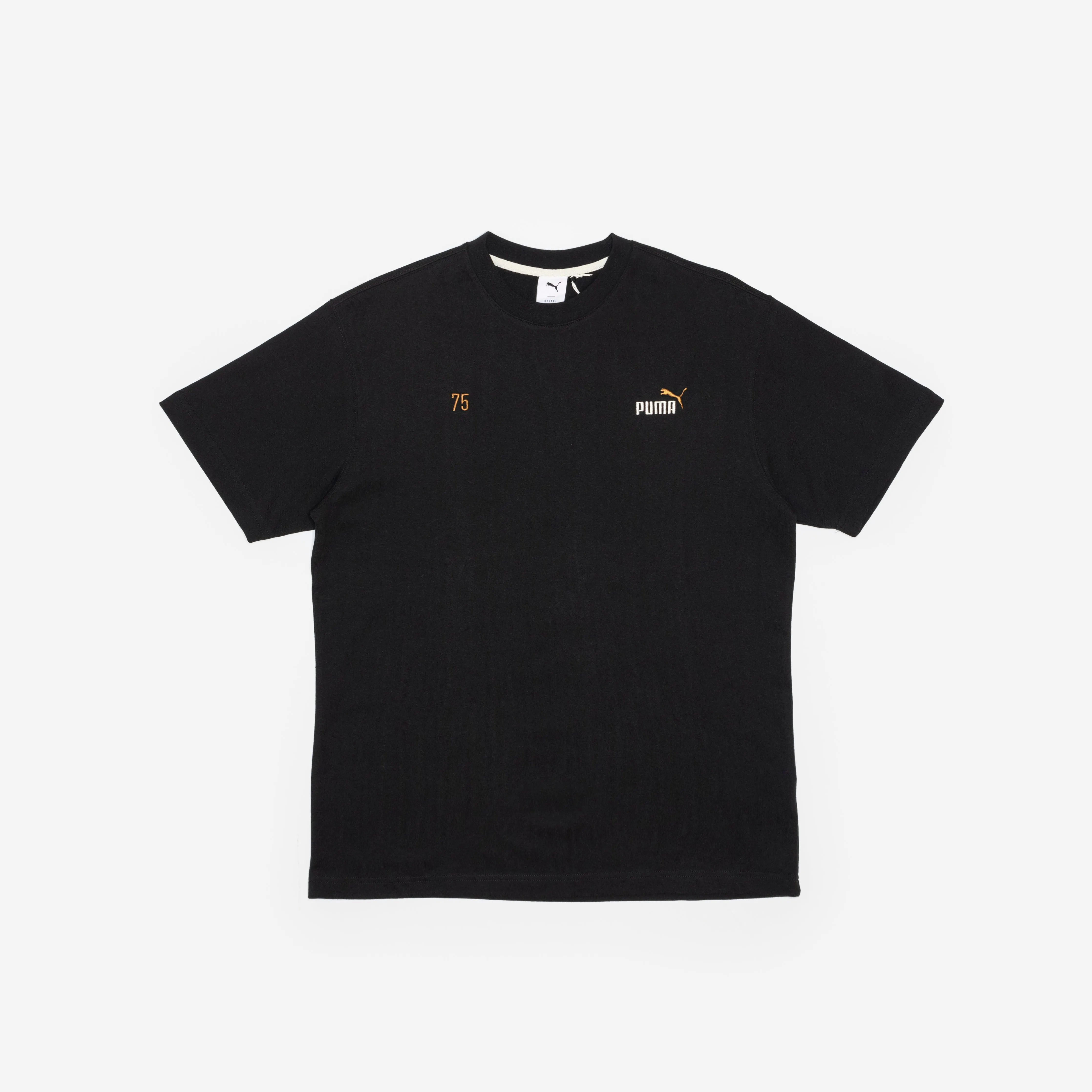 Puma No.1 Logo Celebration Tee