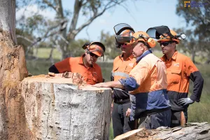 Tree Felling (Advanced) Course